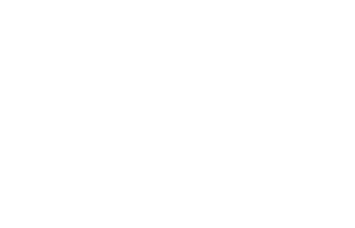 Silver Contessa Consulting